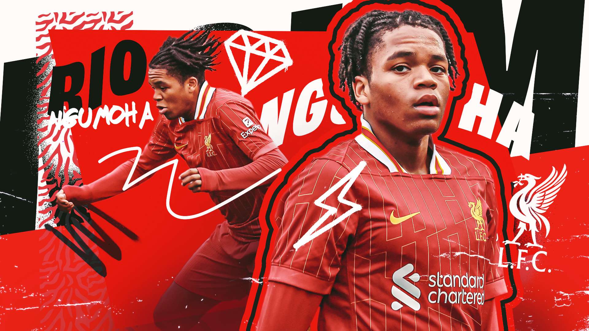 的高水准 的高水准