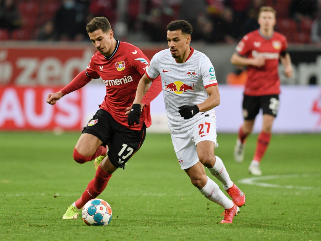 了极高的效 了极高的效